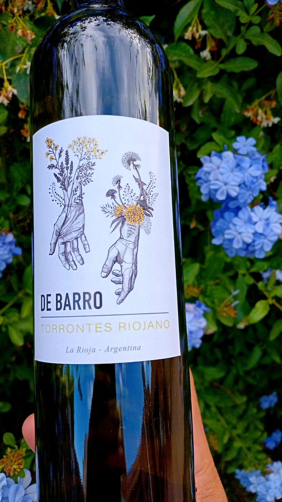 De Barro Torrontés Riojano