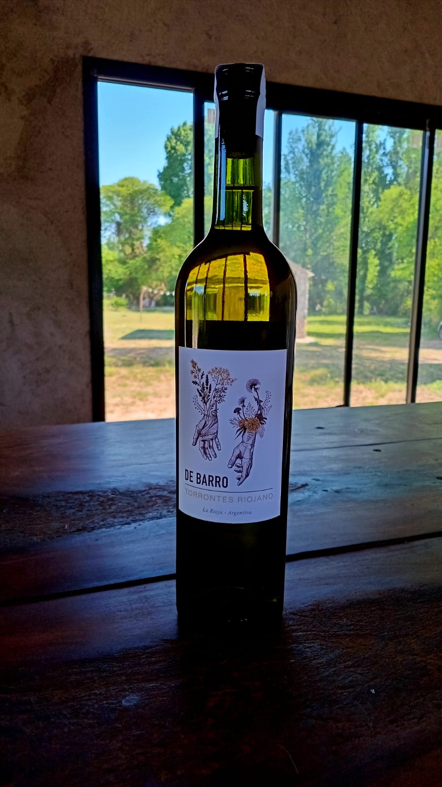 De Barro Torrontés Riojano en la finca