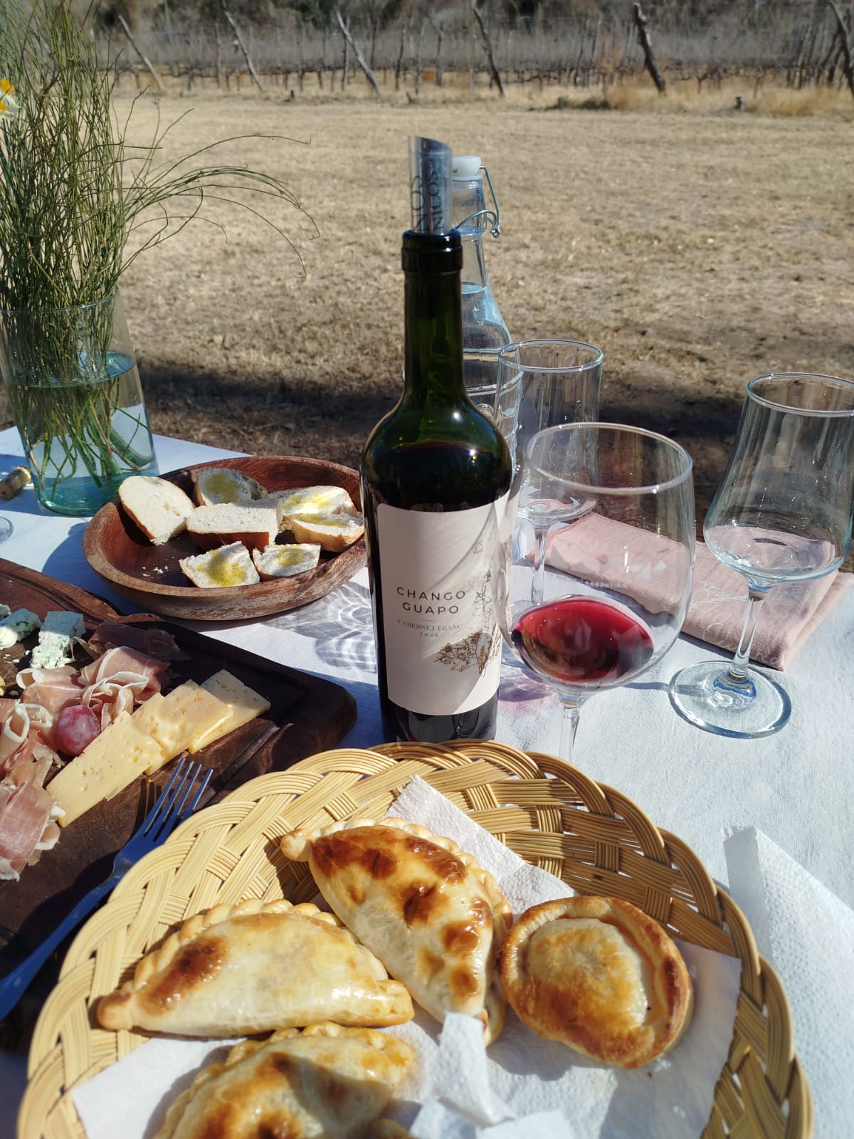 Cabernet Franc entre viñedos en Sañogasta