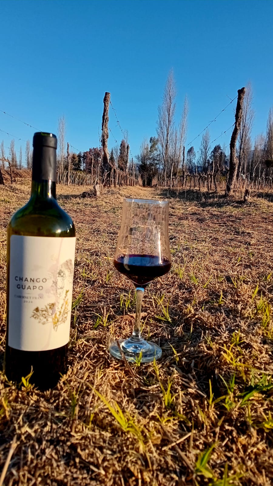 Vino De Barro servido en copa