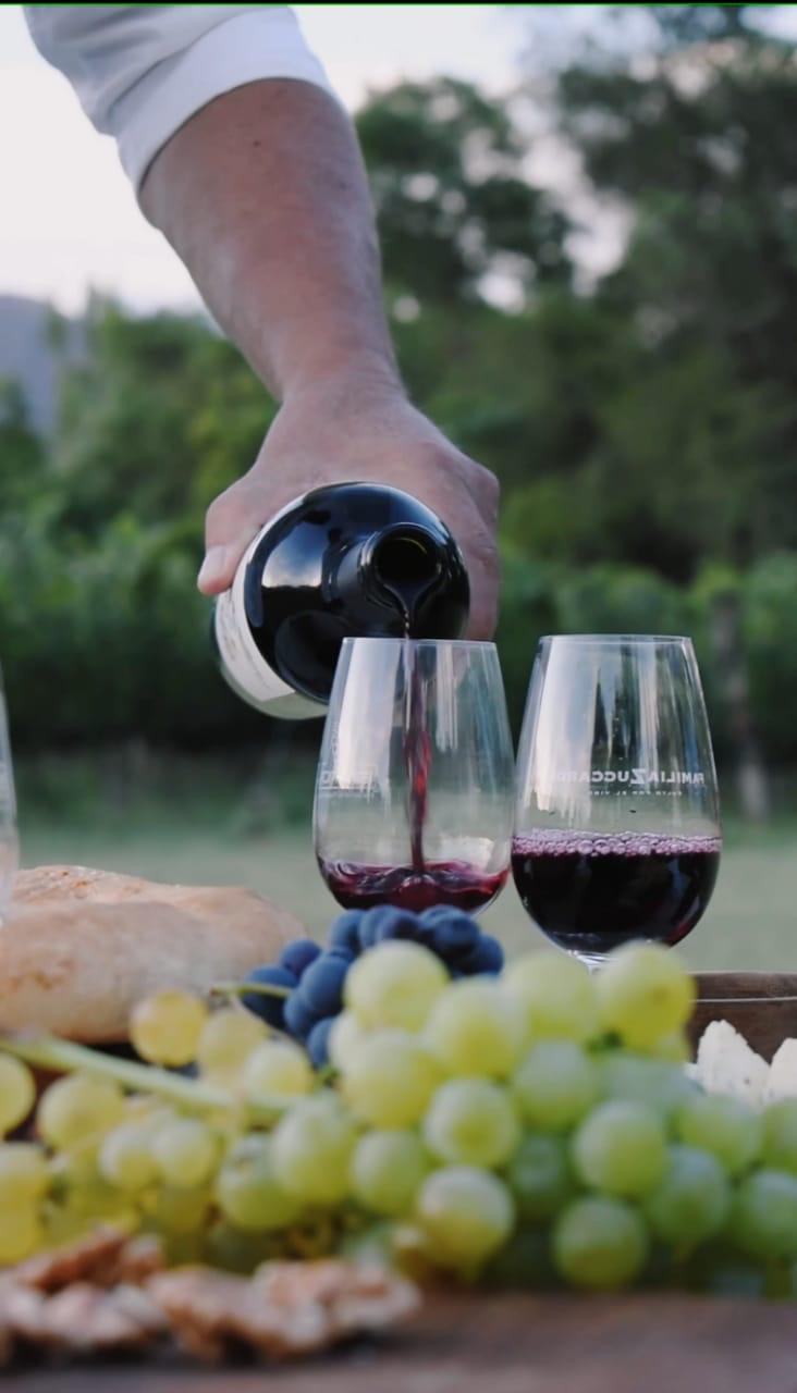 Vinos de Finca Concepción listos para degustar